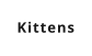 Kittens